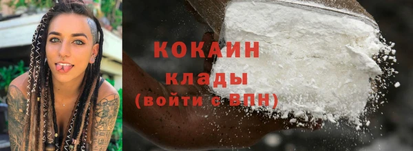 шишки Балахна