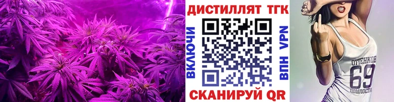 закладка  Вольск  ТГК концентрат 