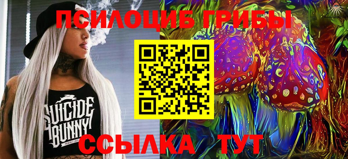 Псилоцибиновые грибы Psilocybine cubensis Вольск
