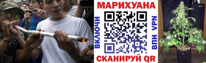 Марихуана план  Вольск 